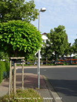 Bad Wildungen - Dr.- Marc-Strae