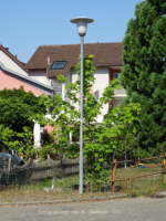 Forchtenberg - Im Kupfertal