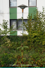 Deggendorf - Bahnhofstra�e (Privatgrundst�ck Pension Gaim)