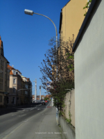Bamberg - Hintere Lwenstrae