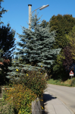 Holzhausen - St.-Heinricher-Strae 