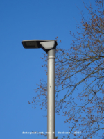 Berlin - Windsteiner Weg