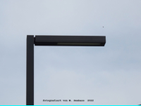 Berlin - F�nf Morgen