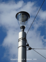 Heidelberg - R�merkreis