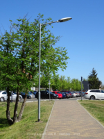 Caputh - Weinbergstrae (Parkplatz)
