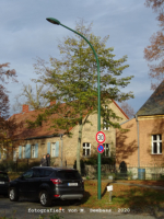 Potsdam (Ortsteil Marquardt) - Hauptstrae