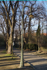 Fuweg Reglinstrae/Arnulfstrae