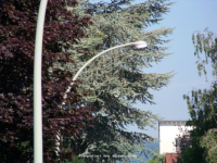 Hattersheim