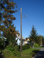 Stahnsdorf  Friedrich-Naumann-Strae