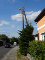 Bad Belzig (Ortsteil Dippmannsdorf) - Freibadstrae