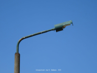 Brandis - Bundesstrae 101 (Firmengrundstck)