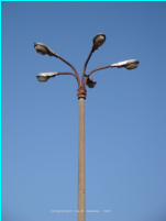 Potsdam-Babelsberg � Waldm�llerstra�e