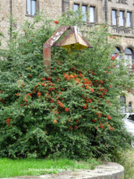 Beyernaumburg - Schlossgelnde