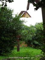 Beyernaumburg - Schlossgelnde