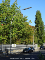 Boelckestrae