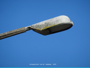 Straubing - Oskar-von-Miller-Stra�e