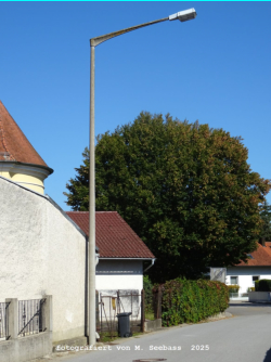 Straubing - Meginhardstra�e