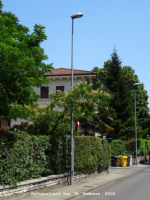 Vicenza