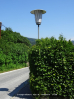 Rein - Greithweg