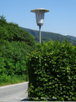 Rein - Greithweg